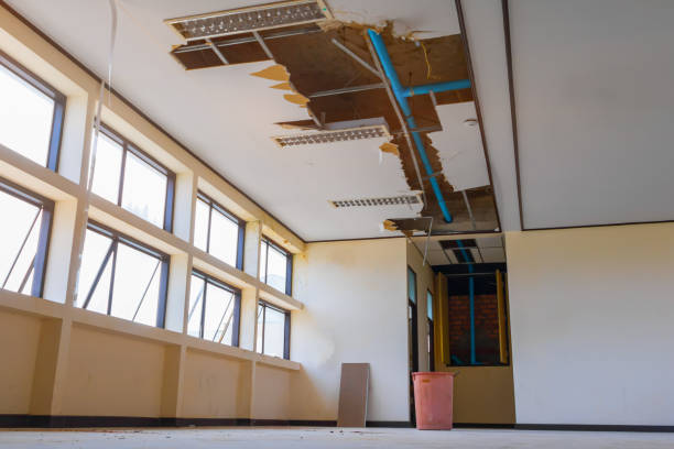 Best Water damage contractors near me  in Cole Camp, MO