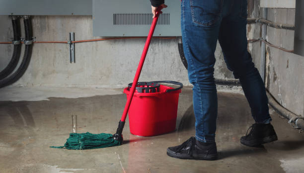 Best Mold removal after water damage  in Cole Camp, MO