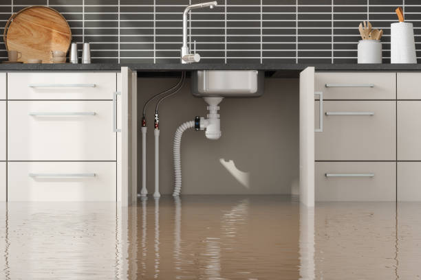 Best Residential water damage restoration  in Cole Camp, MO