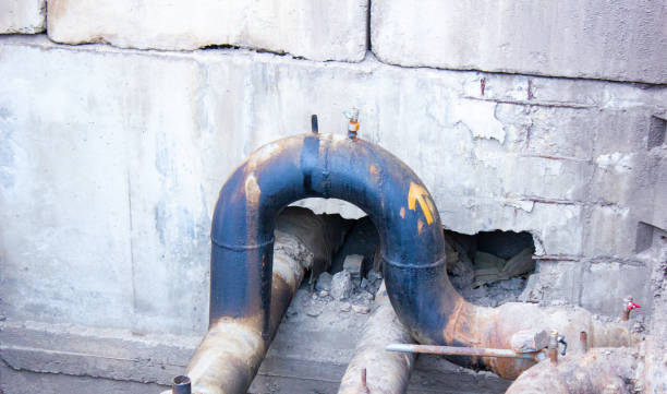 Best 24-hour water damage restoration  in Cole Camp, MO