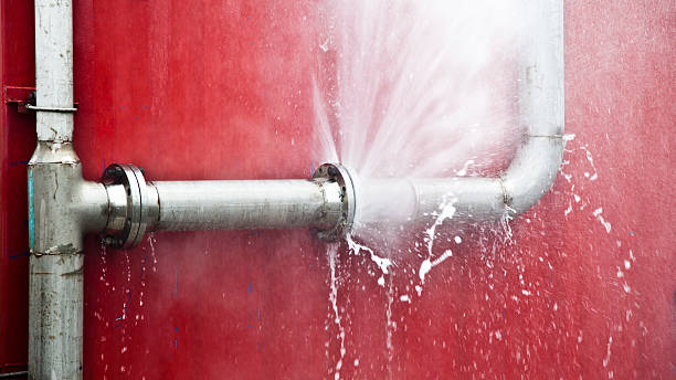 Best 24/7 water damage repair  in Cole Camp, MO