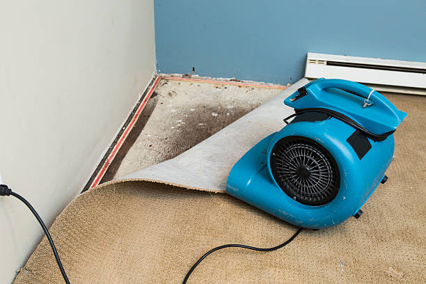 Best Sewage cleanup and water damage restoration  in Cole Camp, MO